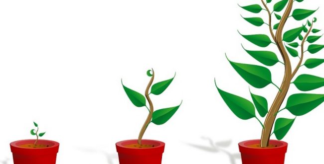 グロースハック