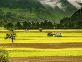 田舎起業