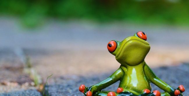 ゆでガエル理論